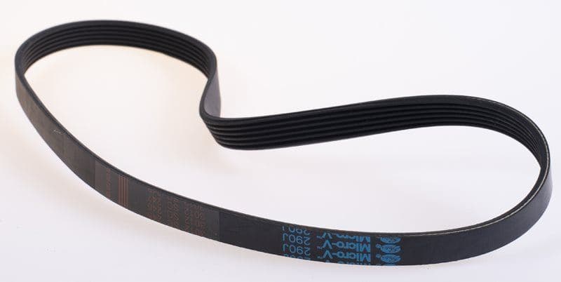 Master Fitness Poly V Drivrem R6030