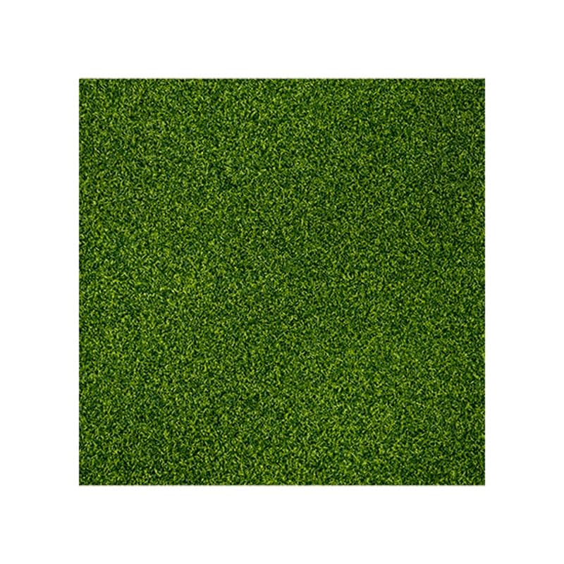 Pavigym Turf 2X10 M 11 mm