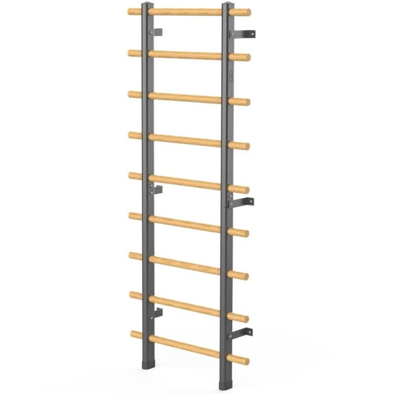 Master Fitness Wallbar - Ribbstol
