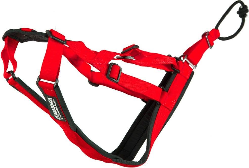 Neewa Sled Dog X-Back vetovaljaat, punainen