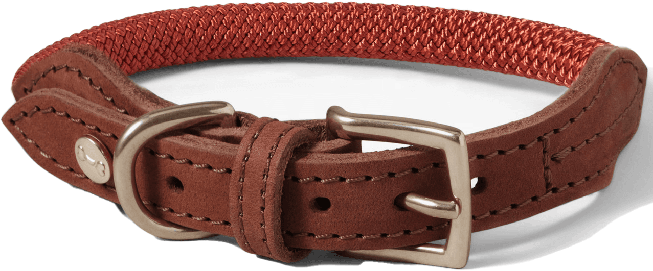 Denjo Dogs Torekov kaulapanta, M - XL, Rusty Bronze