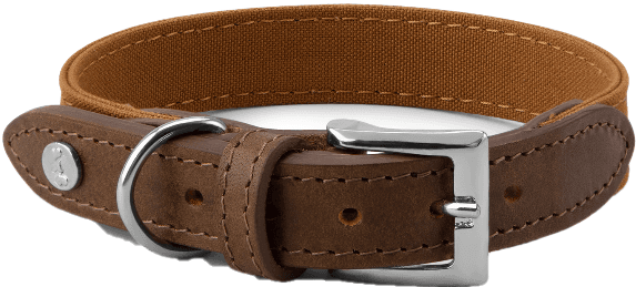 Denjo Dogs Signature kaulapanta, XL-XXL, Brown/Mustard