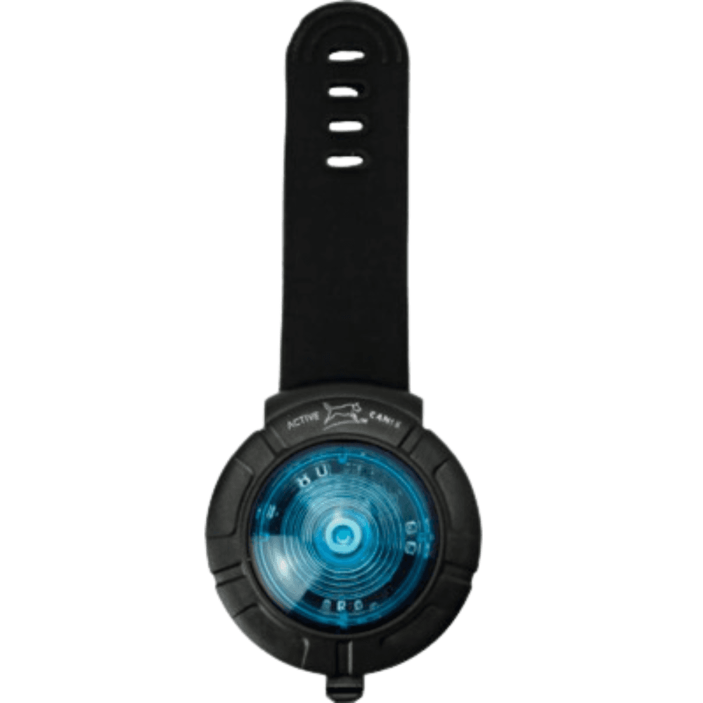 Active Canis Safety Light Blue