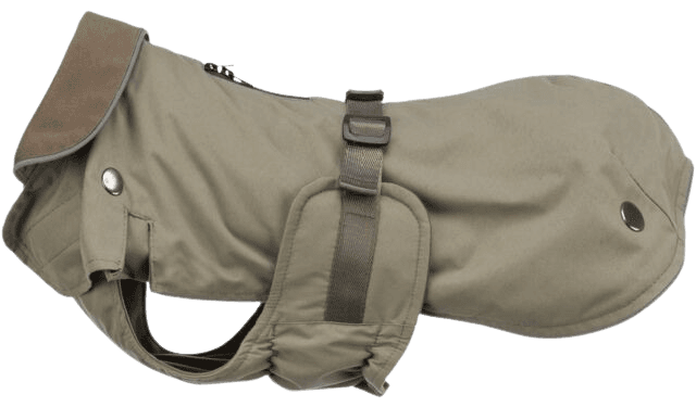 Trixie Hermy 2 in 1 Dachshund koiran takki, 28 cm, Olive Green