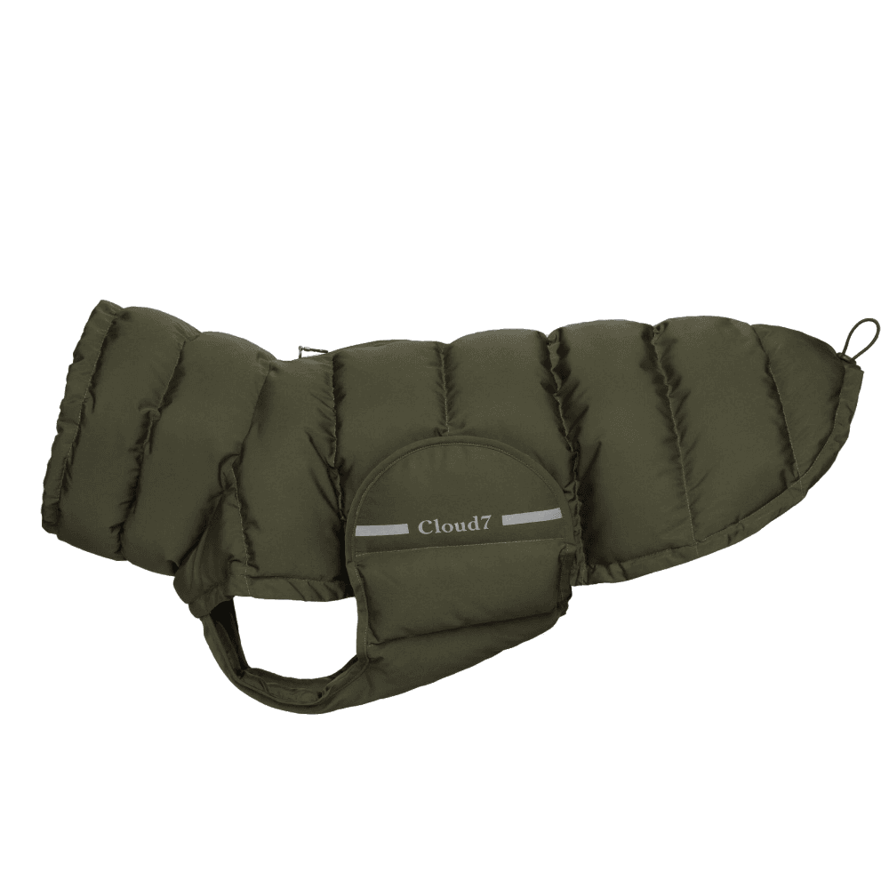 Cloud7 Dog Coat koirantakki, 3-5, Oliivinvihreä