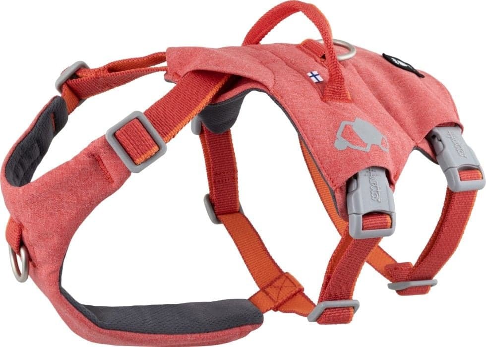 Hurtta Safeguard ECO Sele valjaat, 55-80cm, Strawberry