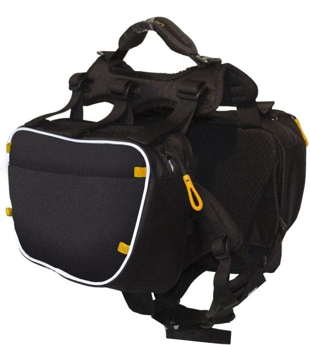 OllyDog Trekker RF Raven