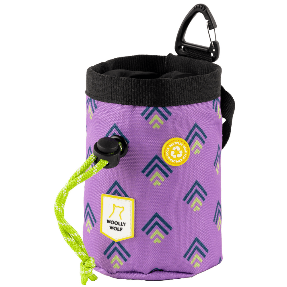 Woolly Wolf Northern Lights Snack Bag Violetti
