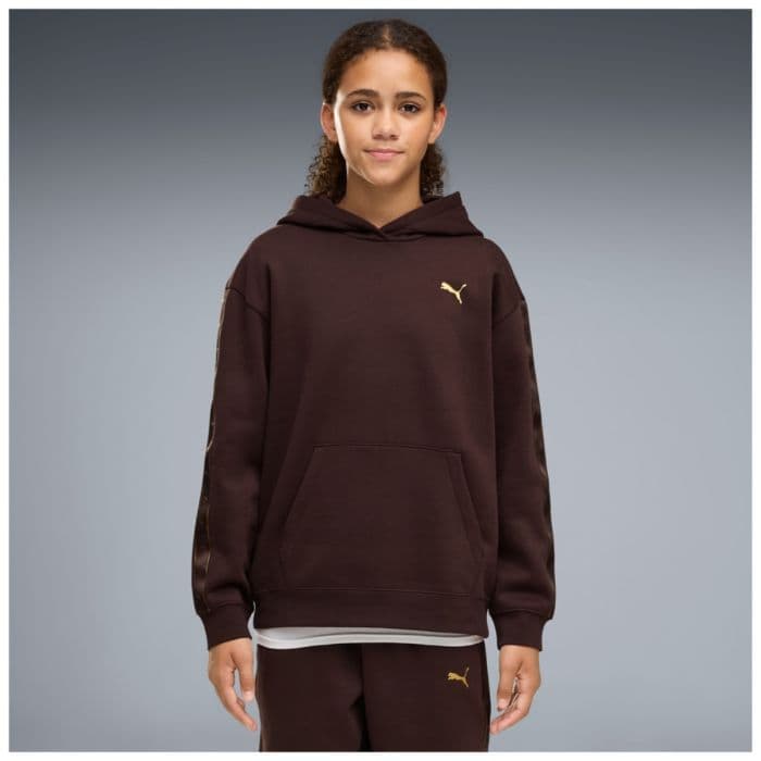 PUMA ESS Tape Relaxed Hoodie FL G K. 128 Ruskea Lapset
